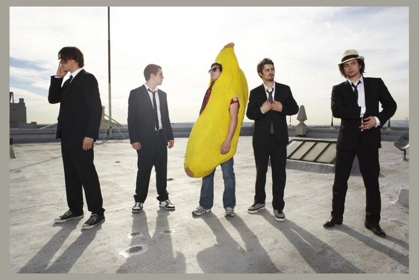 100 Monkeys photo 1