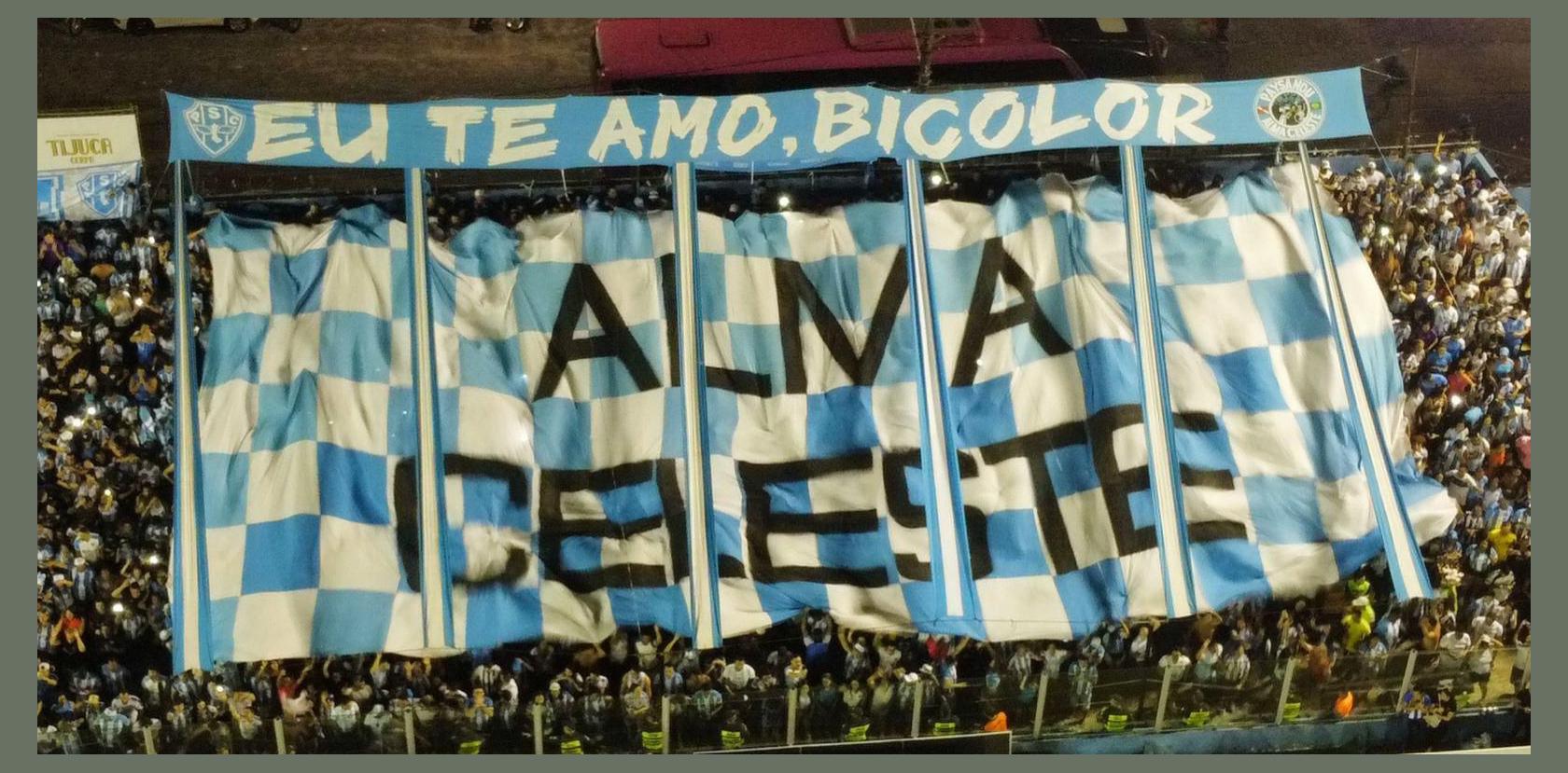 Banda Alma Celeste photo 1