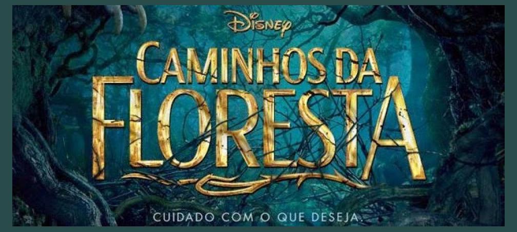 Caminhos da Floresta photo 1