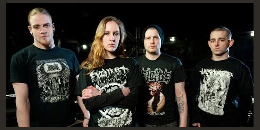 Cerebral Bore photo 1