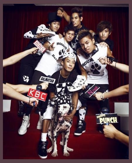 Dalmatian photo 1