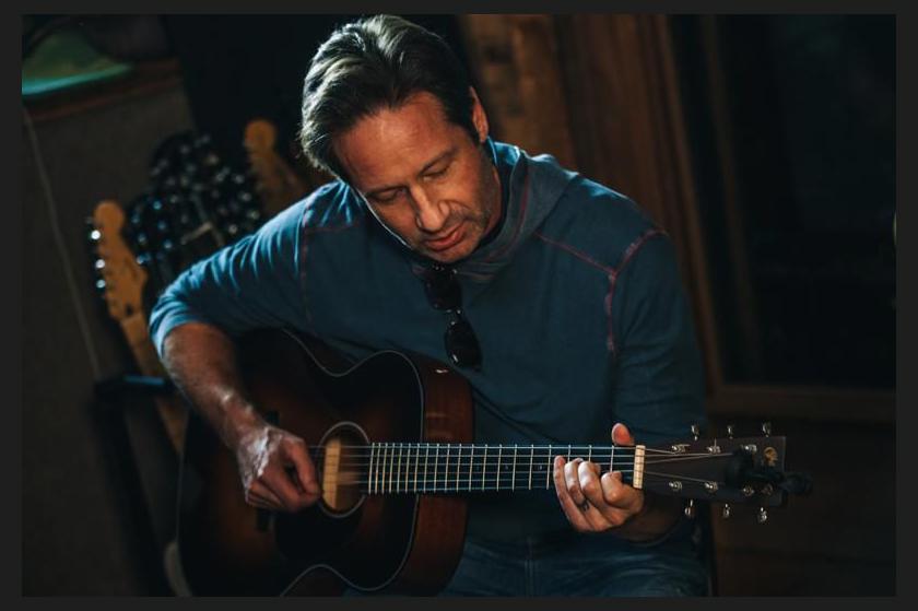 David Duchovny photo 1