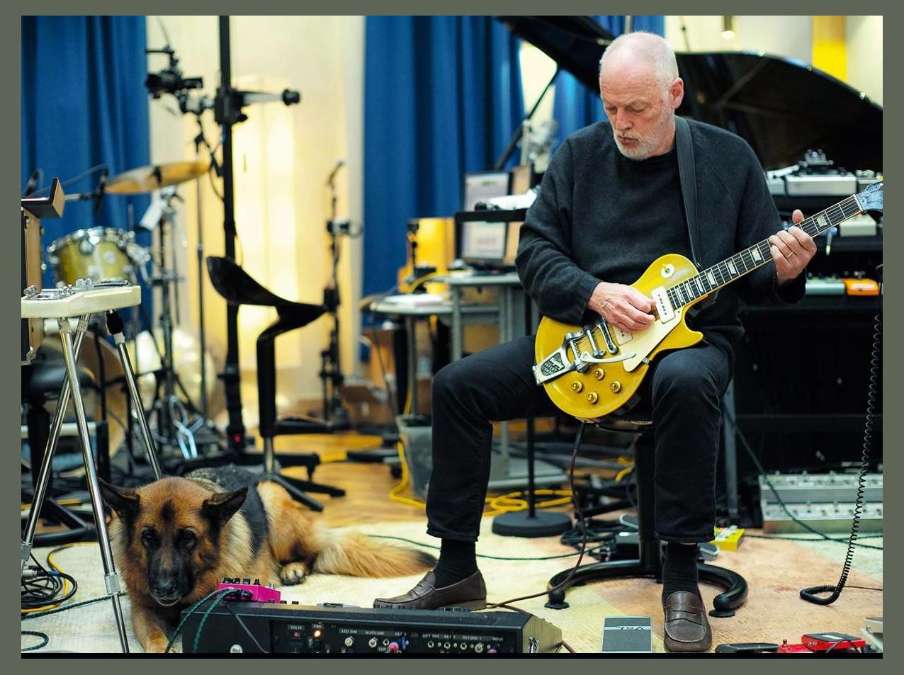 David Gilmour photo 1