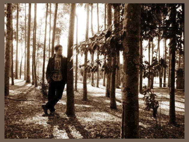 Demidson photo 1