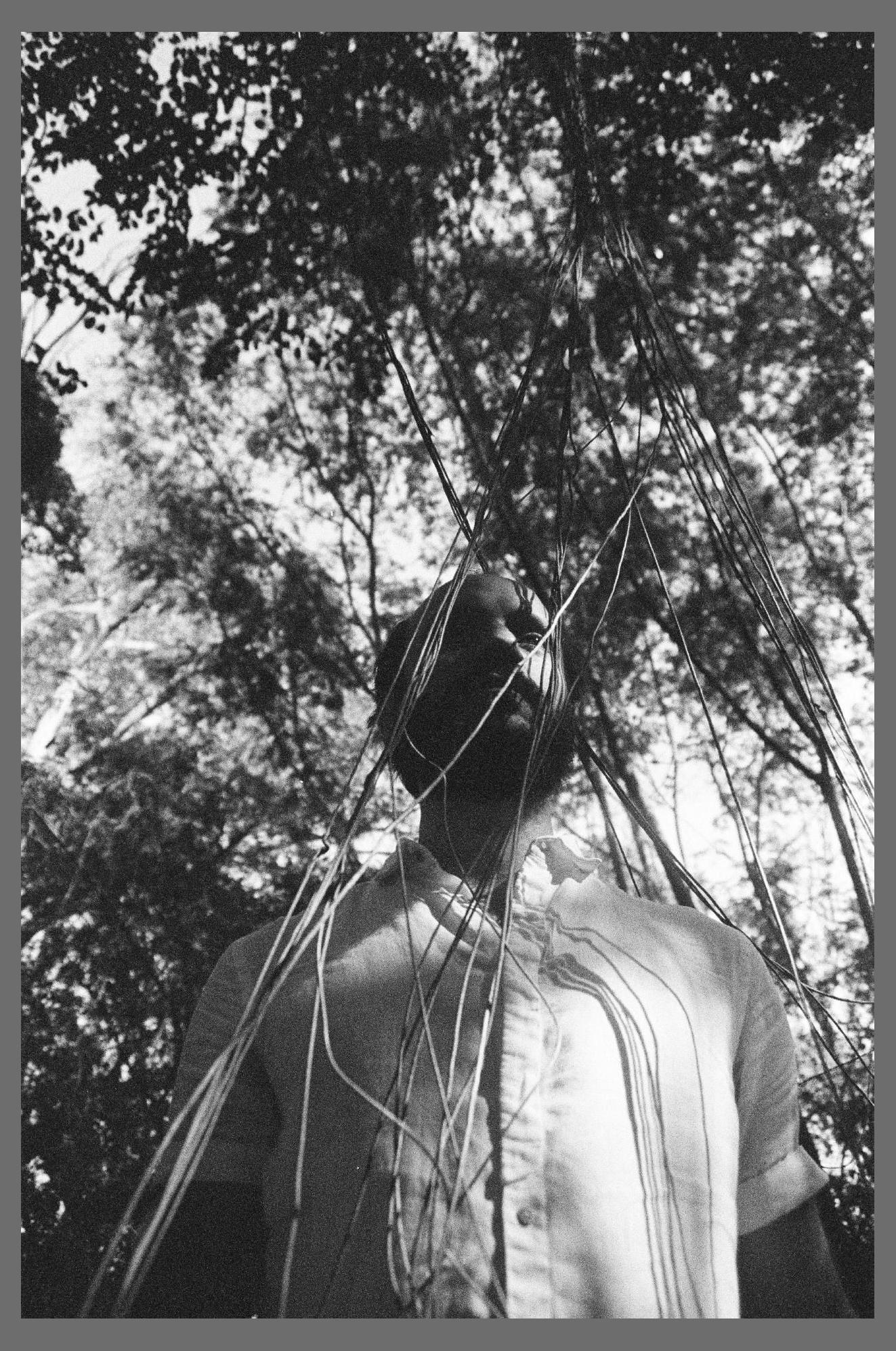 DOSSEL photo 1