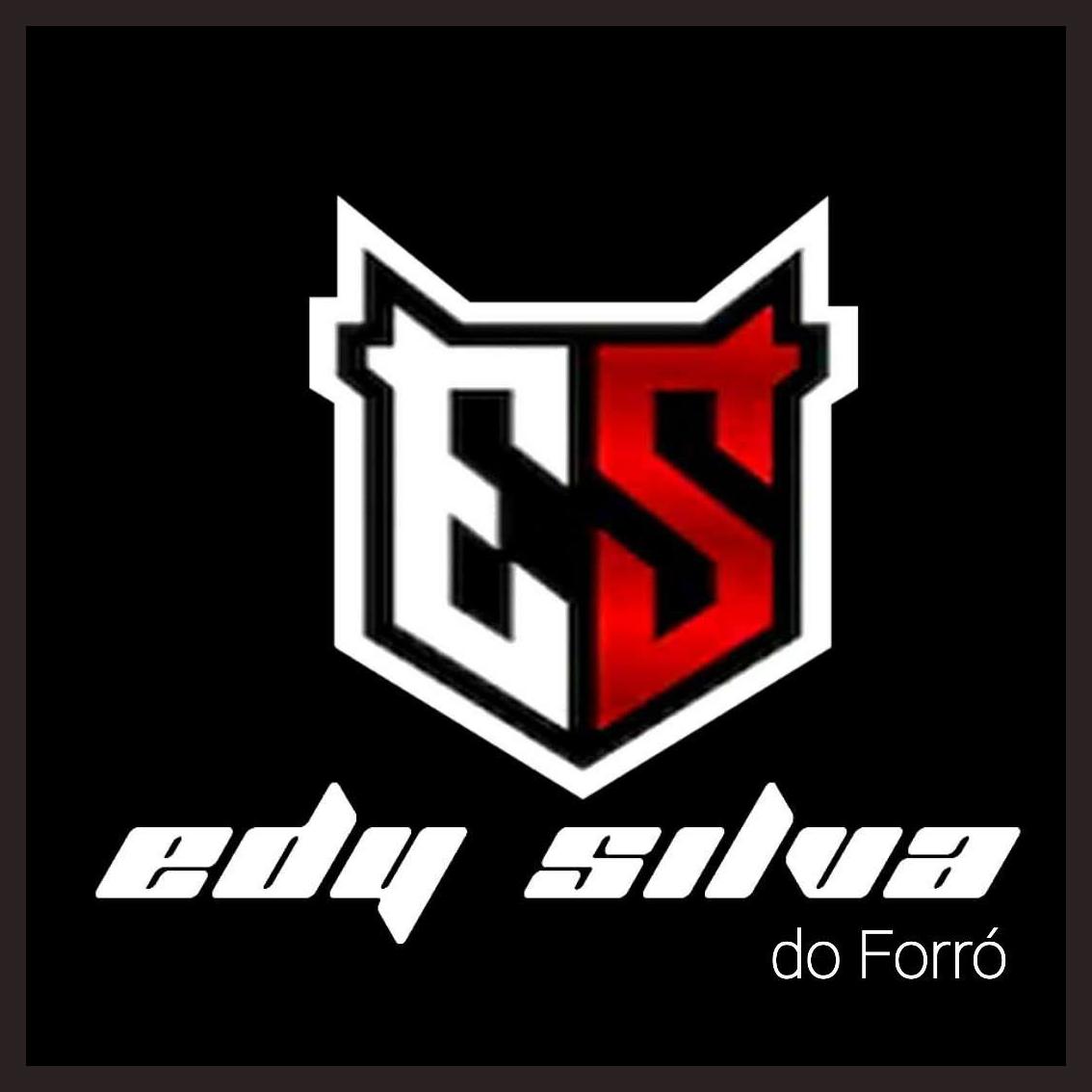 Edy Silva do Forró photo 1