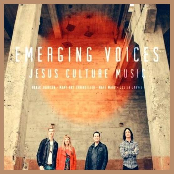 Emerging Voices photo 1