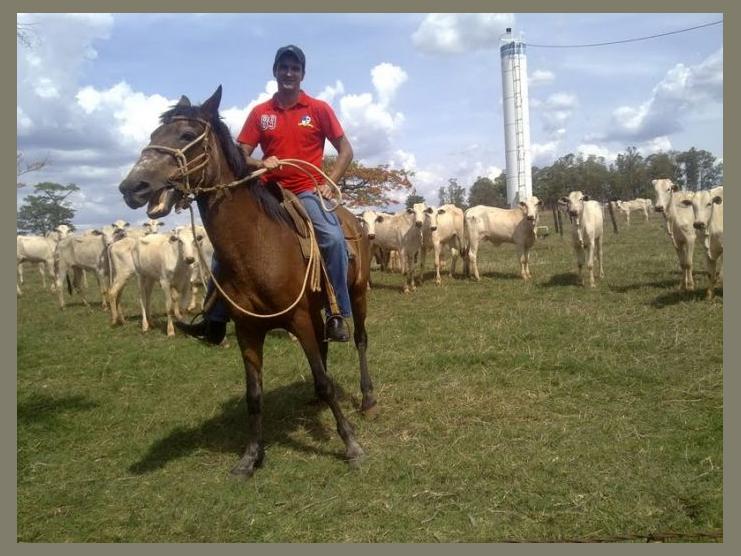 Evandro Diamant photo 1