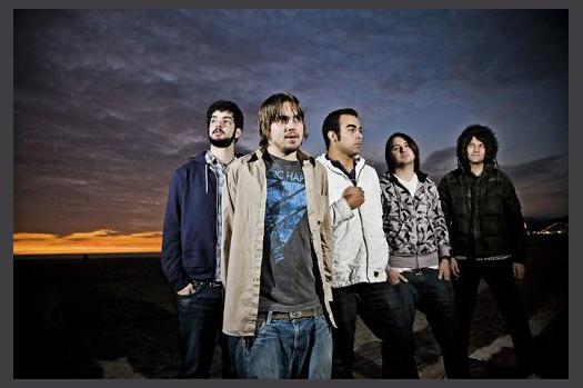 Finch photo 1