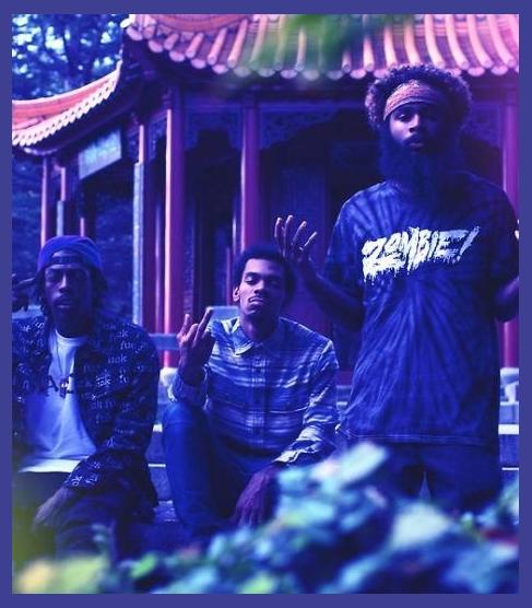 Flatbush Zombies photo 1