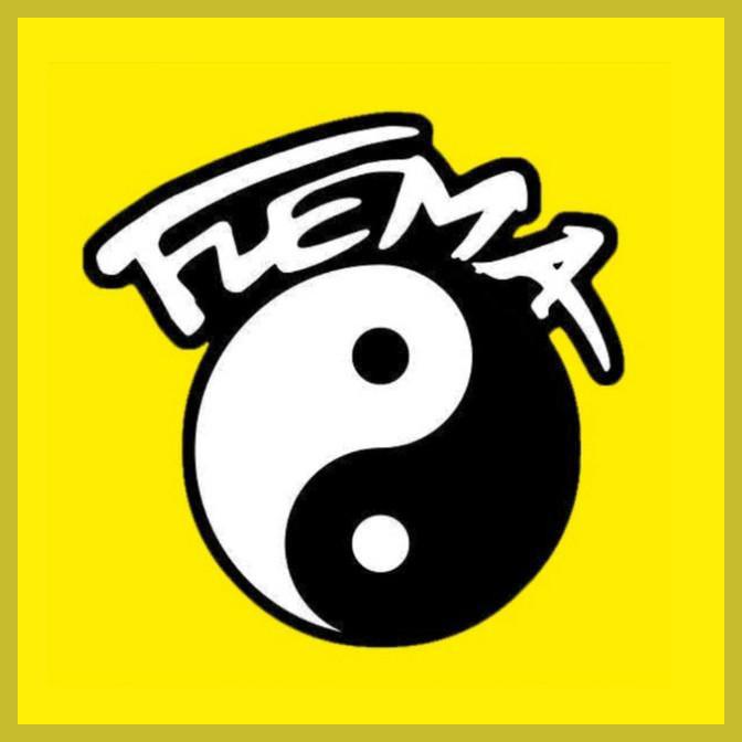 Flema photo 1