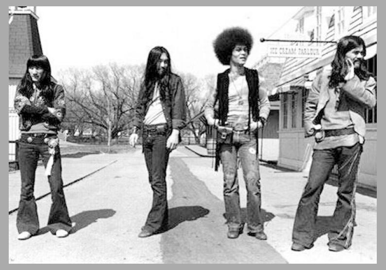 Flower Travelling Band photo 1