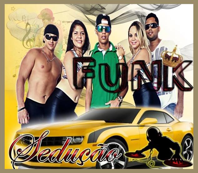 Funk Sedução photo 1
