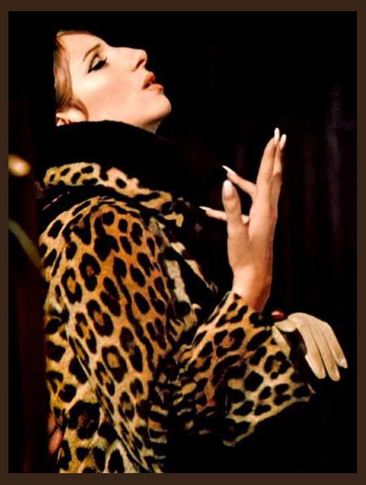 Funny Girl photo 1