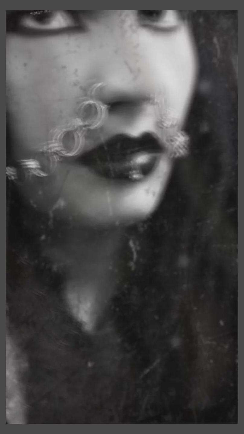 Gild The Mourn photo 1