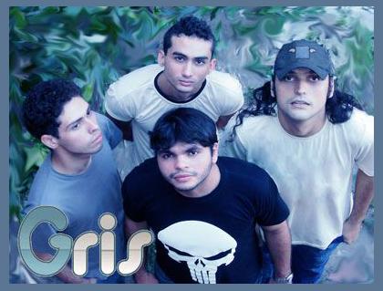 Gris photo 1