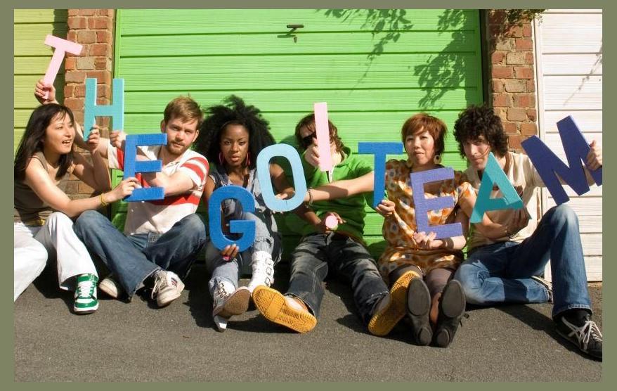 The Go! Team photo 1
