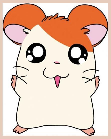 Hamtaro photo 1