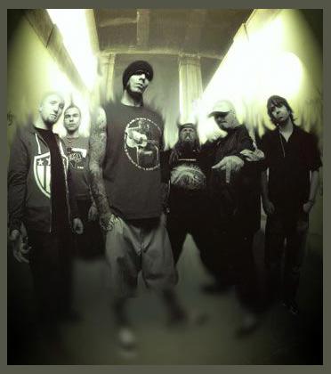 Hed Pe photo 1