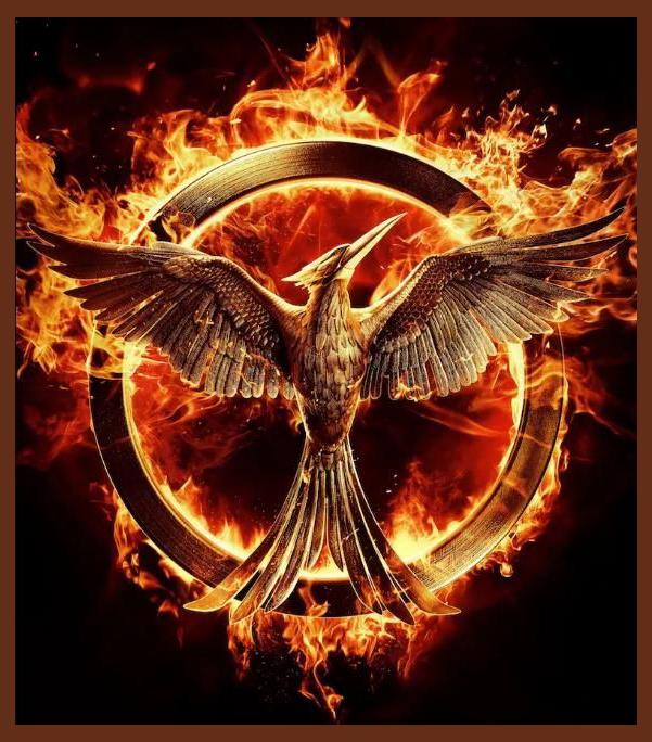 Hunger Games photo 1