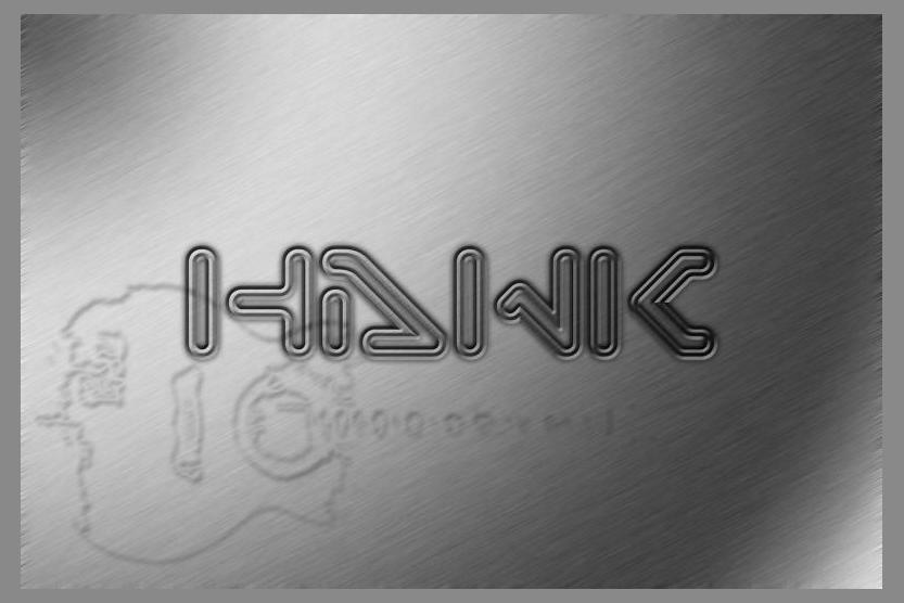 Hawk photo 1