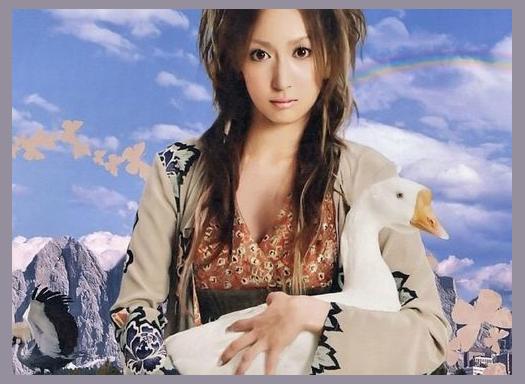 Kokia photo 1