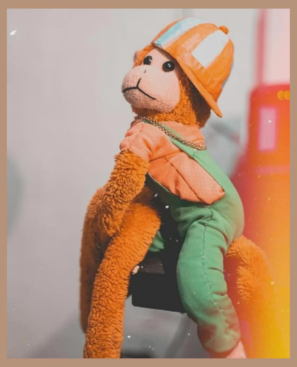 Macaco Severino photo 1