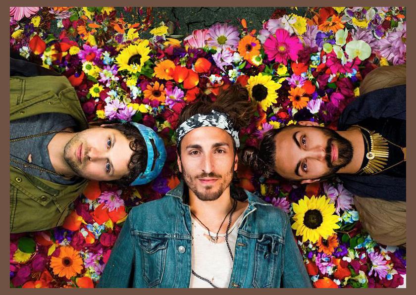 Magic Giant photo 1