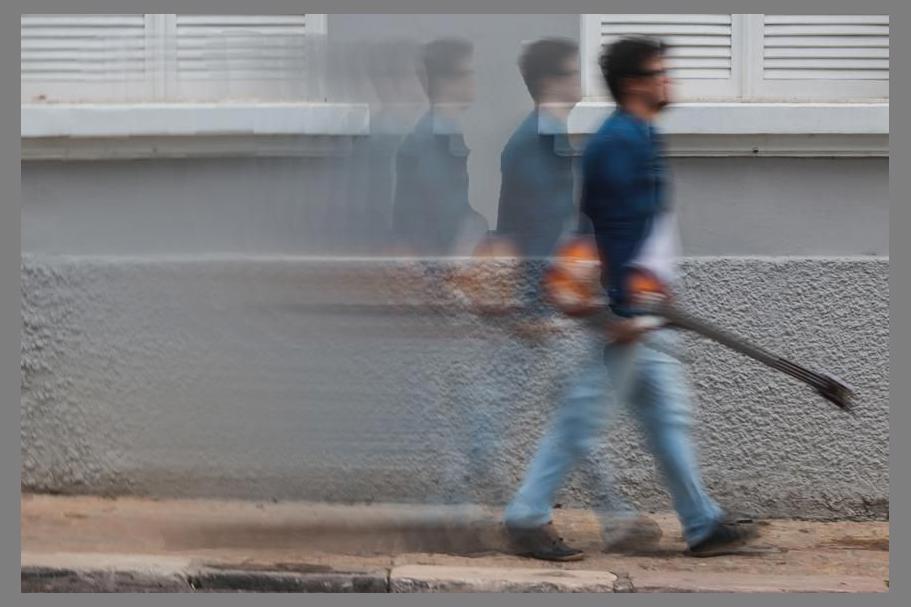 Marcelo Nazareth photo 1