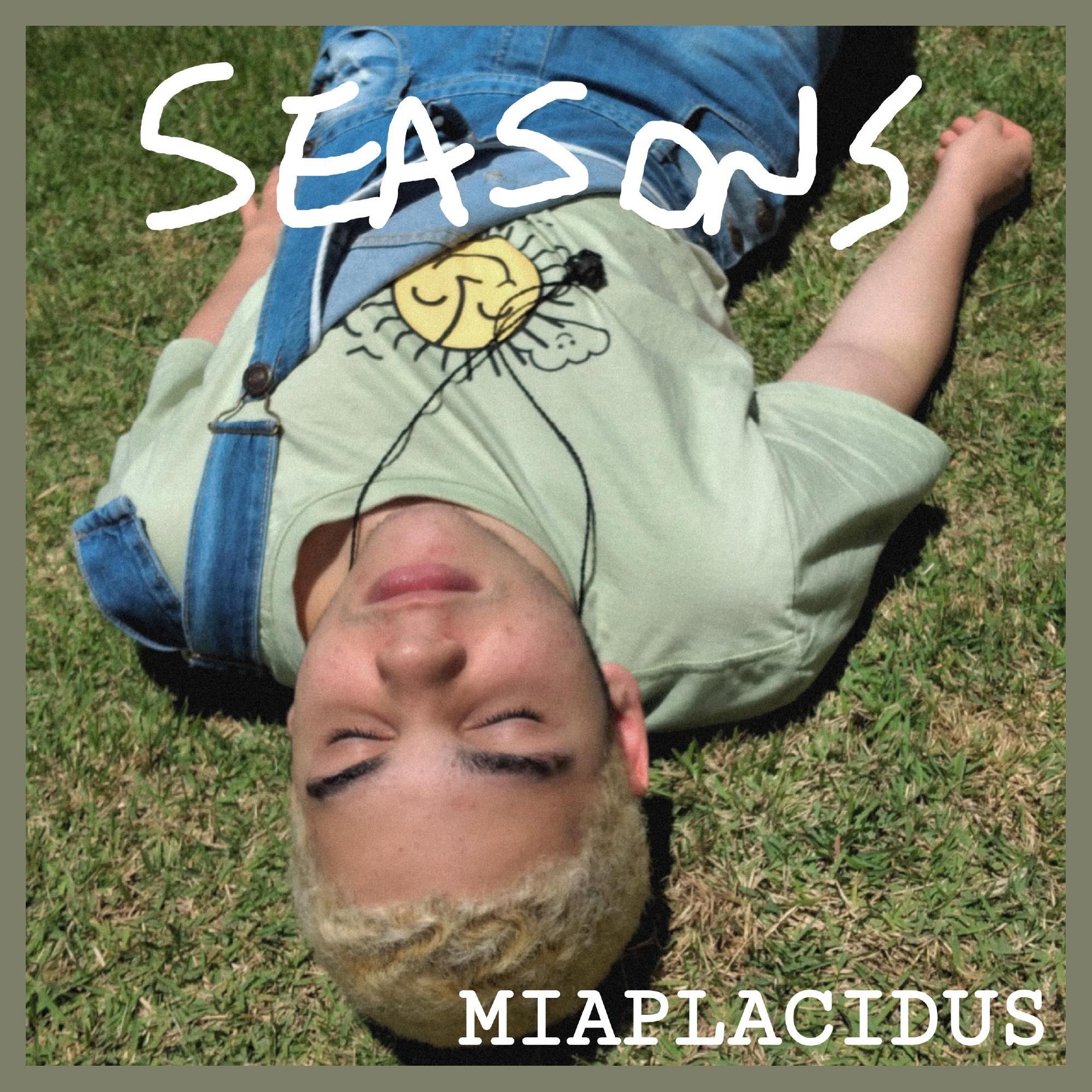 Miaplacidus photo 1