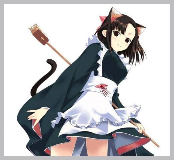 Mahou Sensei Negima photo 1