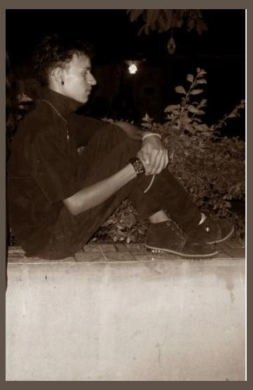 Night of Roses photo 1