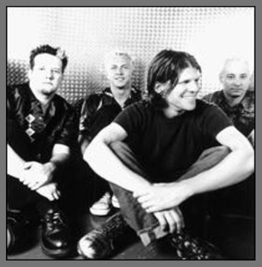 The Nixons photo 1