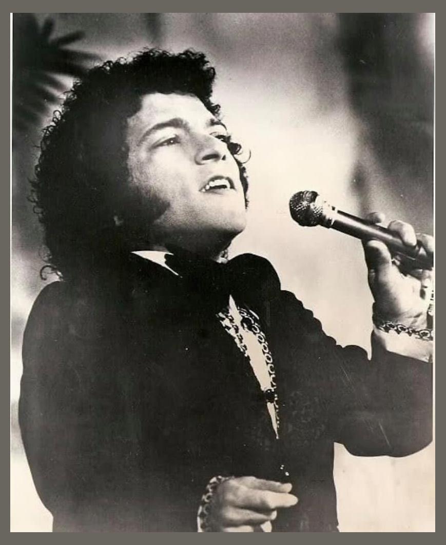 Nelson Ned photo 1