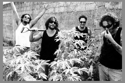 Os Pedrero photo 1
