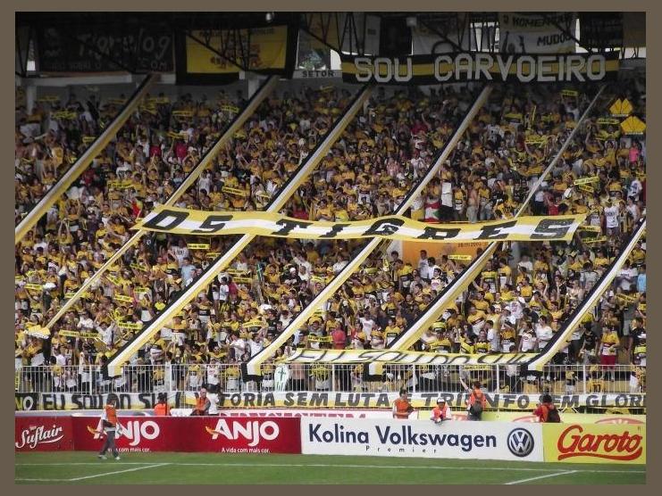 Os Tigres photo 1