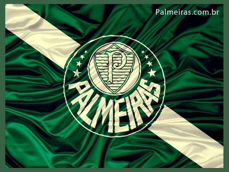 Palmeiras photo 1