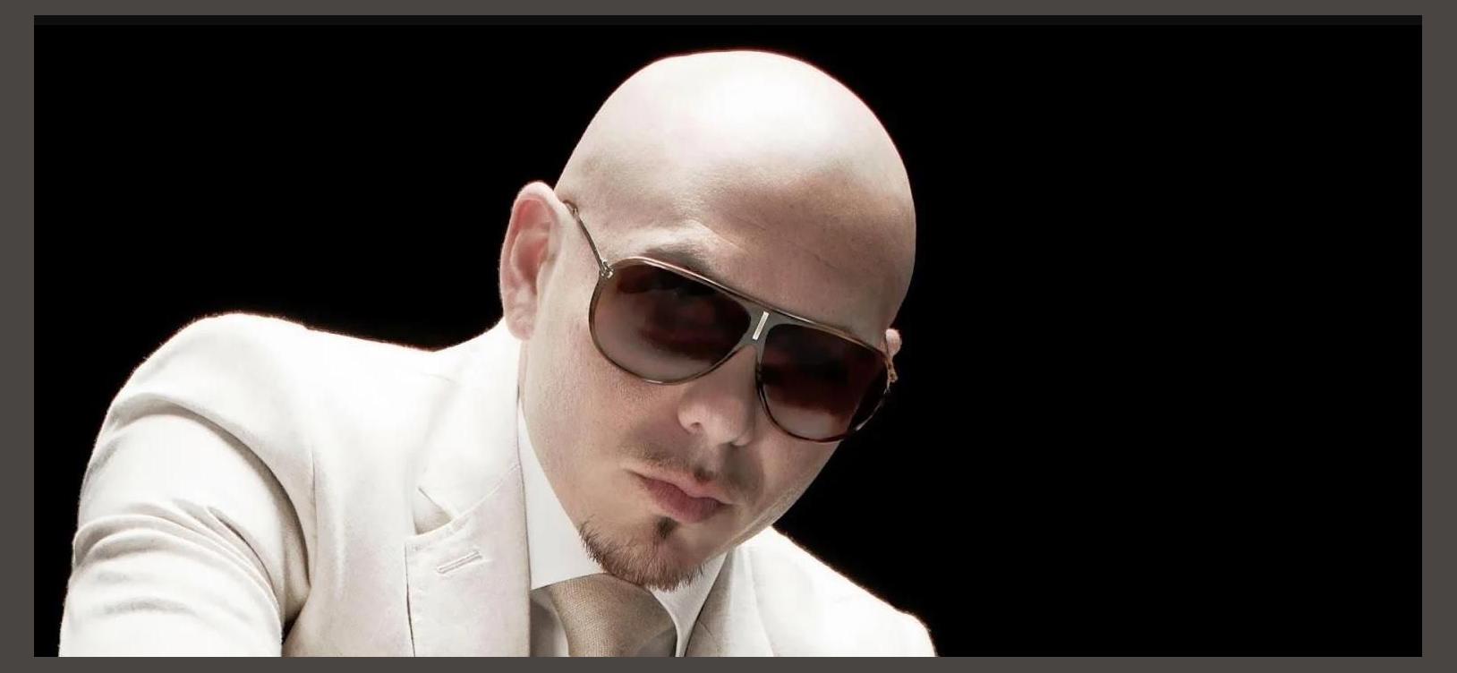 Pitbull photo 1