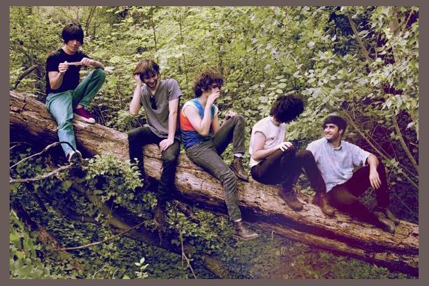 Polock photo 1
