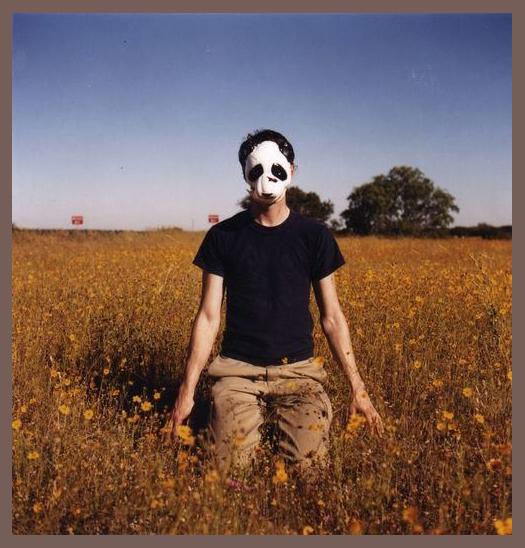 Panda Bear photo 1