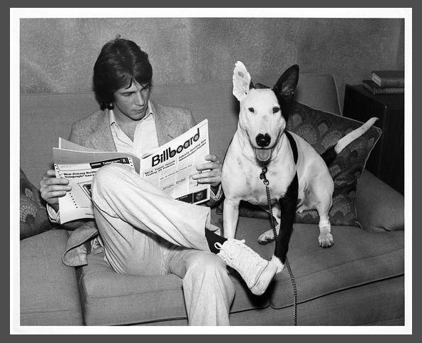 Rick Springfield photo 1