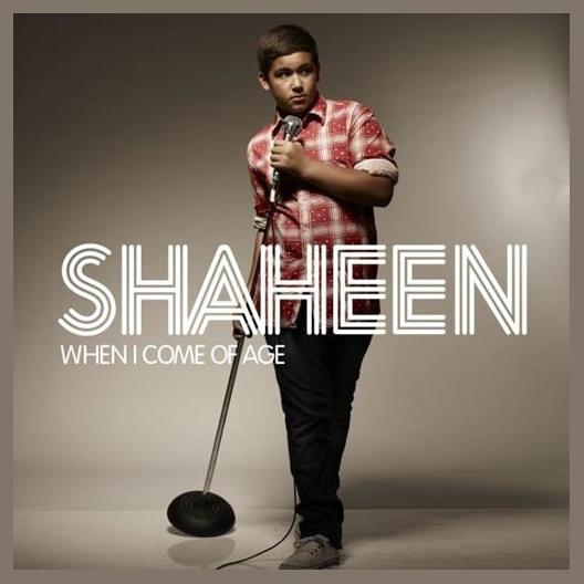 Shaheen Jafargholi photo 1