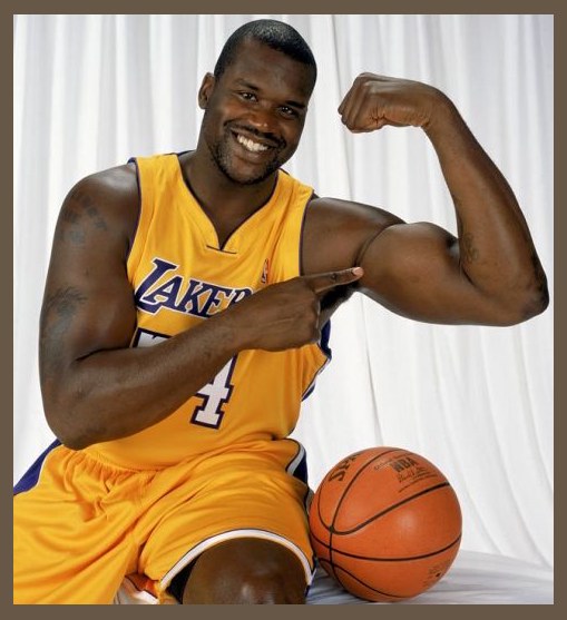 Shaquille O'Neal photo 1