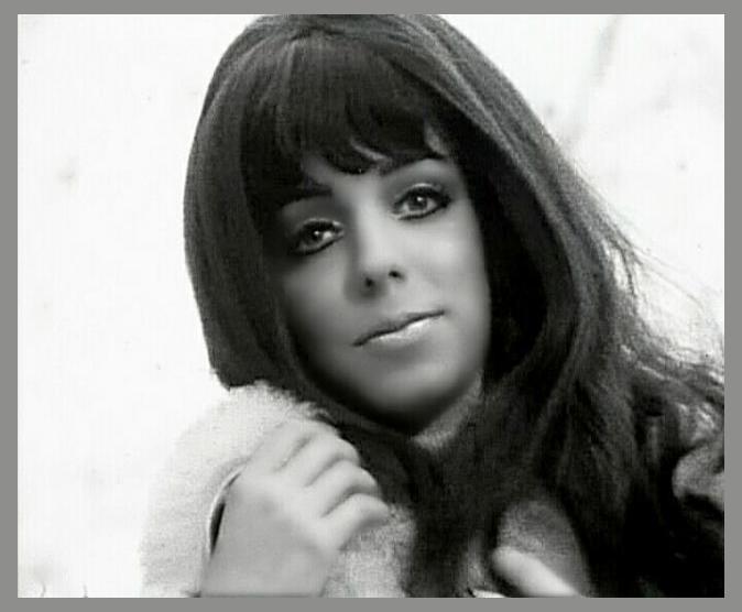 Shocking Blue photo 1