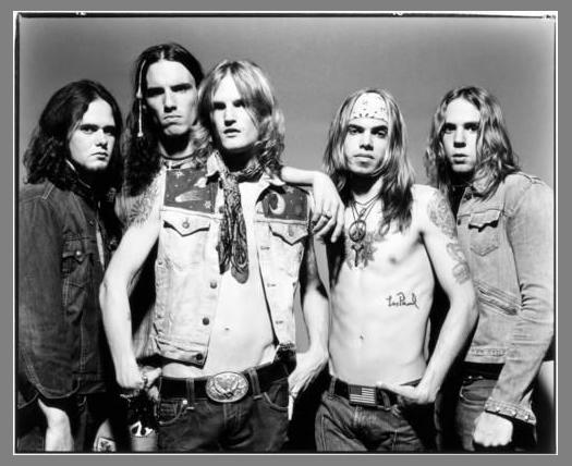 Silvertide photo 1