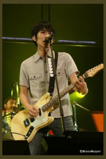 Spitz photo 1