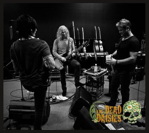 The Dead Daisies photo 1