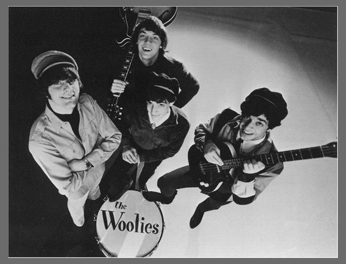The Woolies photo 1
