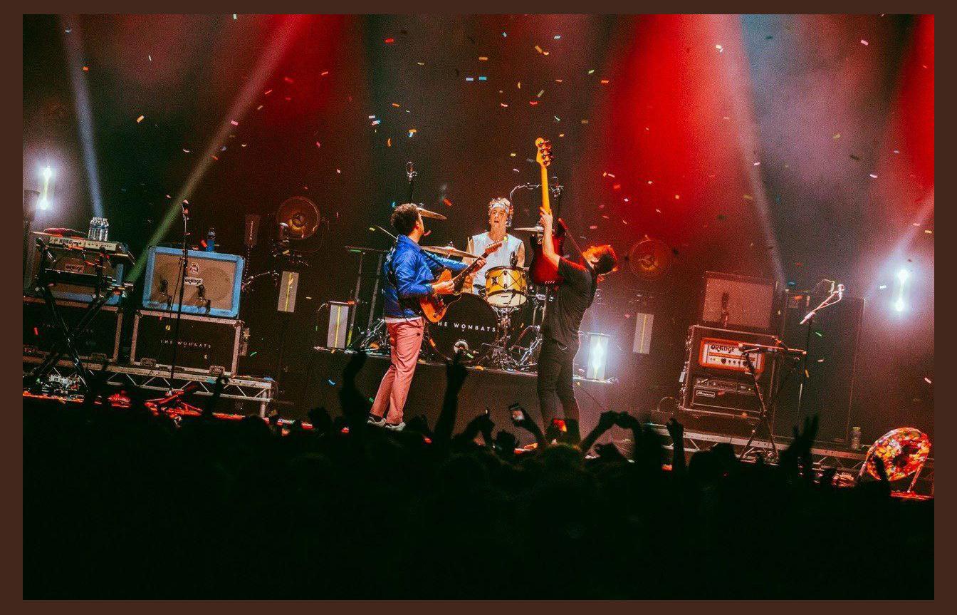 The Wombats photo 1
