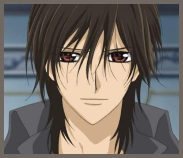 Vampire Knight photo 1
